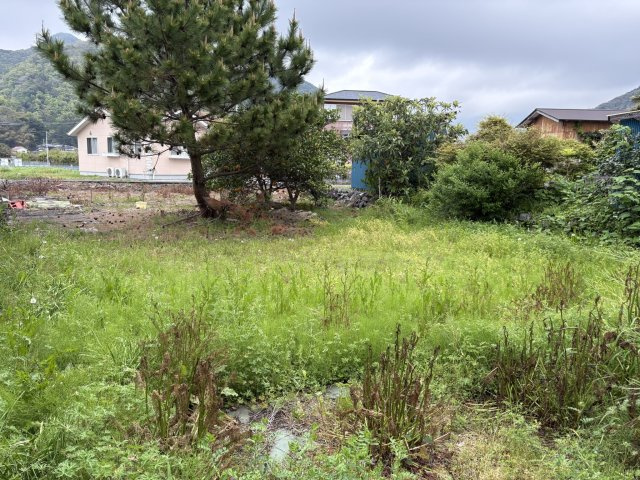西伊豆町　中の外観