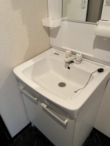 ラフィナート菊名の洗面所