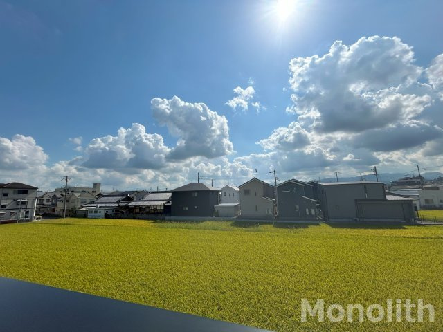 ミモの展望