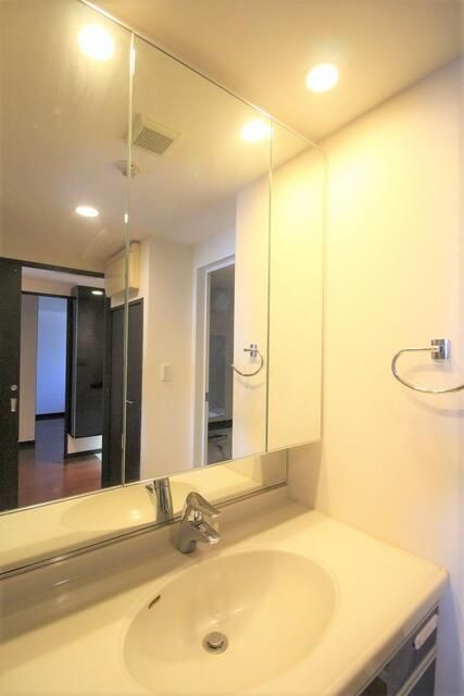 エイルマンション新屋敷レガリアの独立洗面台