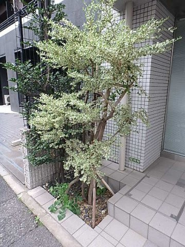 グランビュー御茶ノ水のその他