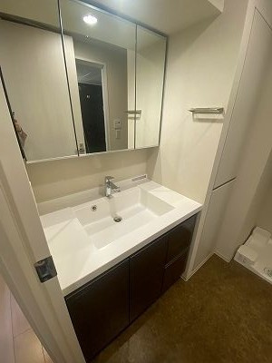 クレストコート押上Ｎｏｒｔｈの洗面所