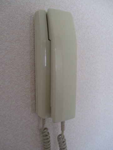 ラフィーネ二ツ屋のセキュリティ|※類似部屋