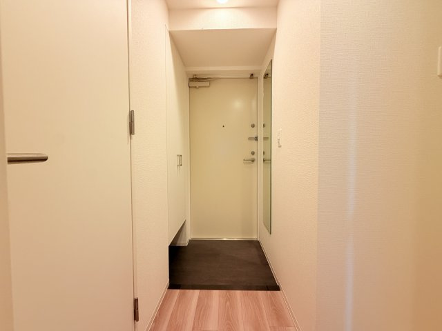 セレニテ西元町アリエの玄関