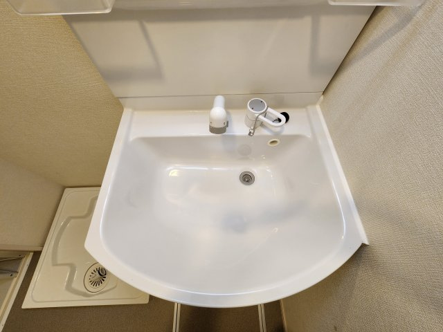 テラス新柴又Ⅱの独立洗面台