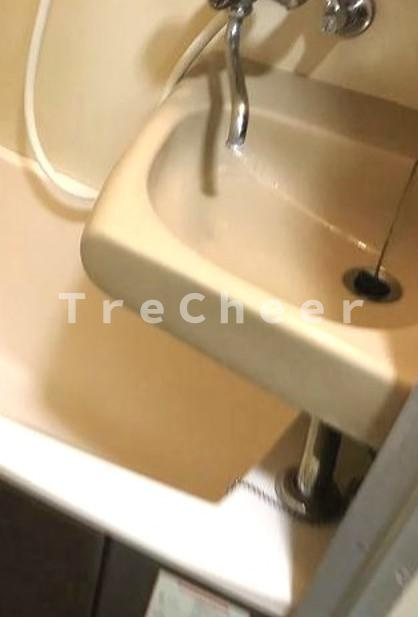 コーポアルプの洗面所