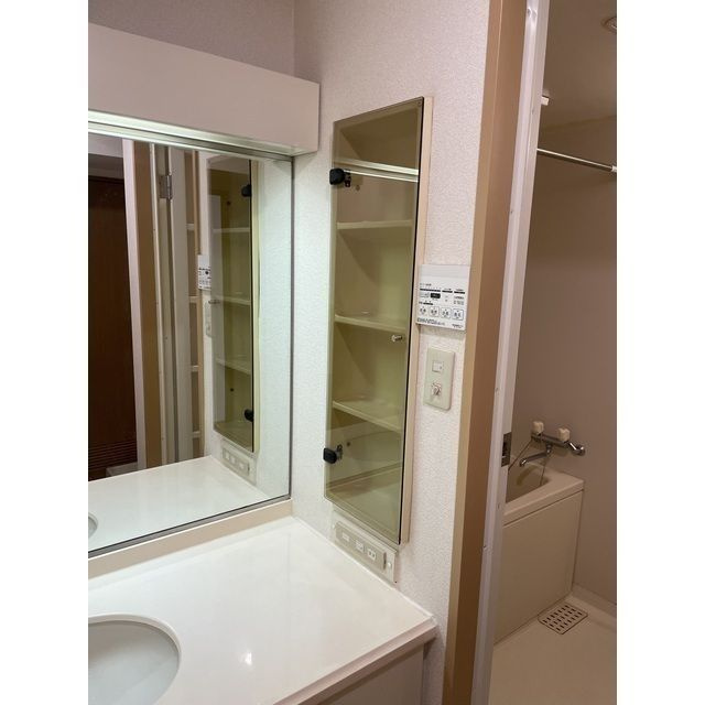 カーサグランデ本郷の洗面所