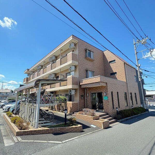 エーデルワイス