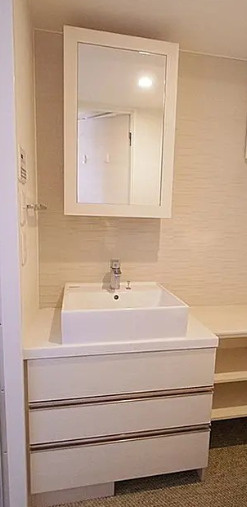 パークリュクス東麻布monoの洗面所|別号室参考写真