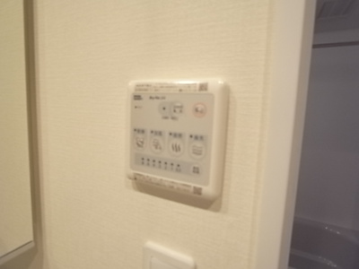  | アルメールツダヌマ