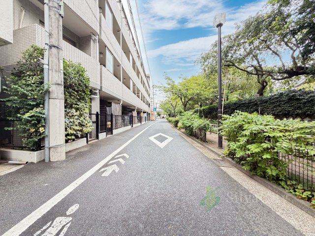 大田区田園調布南の前面道路含む現地写真