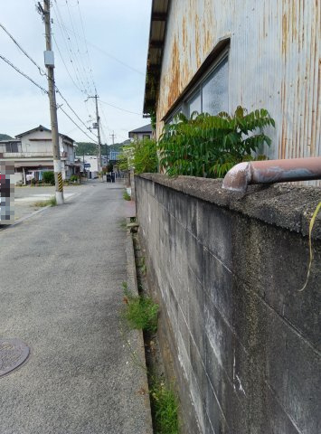 和歌山市木ノ本・土地・56991の前面道路含む現地写真
