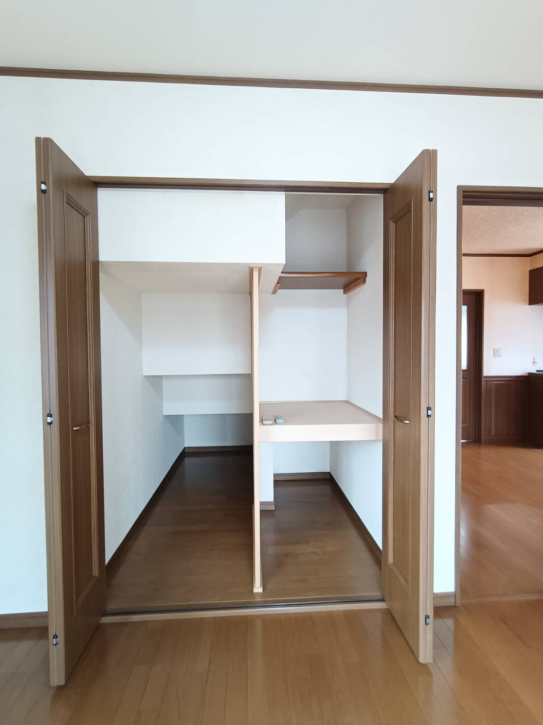 北葛飾郡松伏町　松伏　中古戸建の収納|小物を収納するのに便利です
