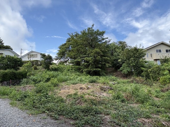 【外観】 | 大室高原別荘地　売地