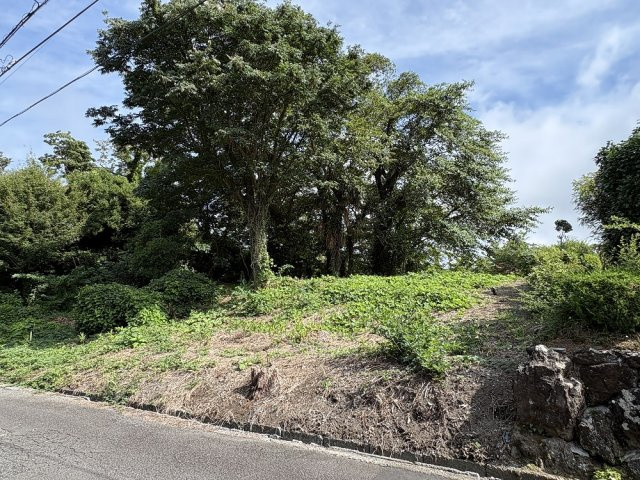 大室高原別荘地　売地の画像
