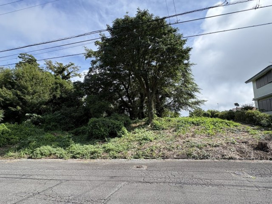 【外観】 | 大室高原別荘地　売地