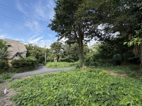 【外観】 | 大室高原別荘地　売地