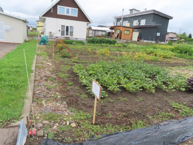 北見市上ところ３５５－７　売地の外観