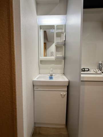 エステムコート大阪城南Ⅱの洗面所