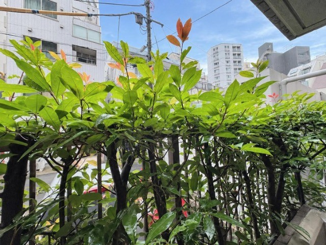 【展望】 | 日神パレステージ大井町 | バルコニーからの景色です～即日のご見学可能～　お問合せはお気軽にどうぞ。