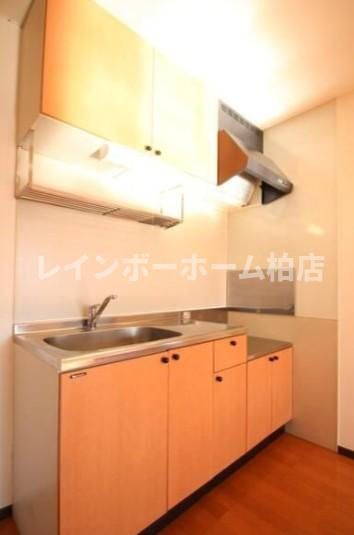 特典：仲介手数料が50％OFFです‼のキッチン|使いやすいキッチンです