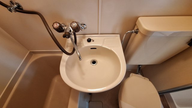 ハイネスマグノリアの洗面所