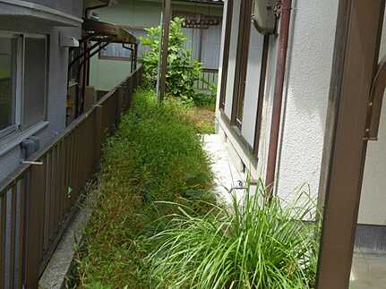 安佐北区亀山6丁目中古戸建の庭