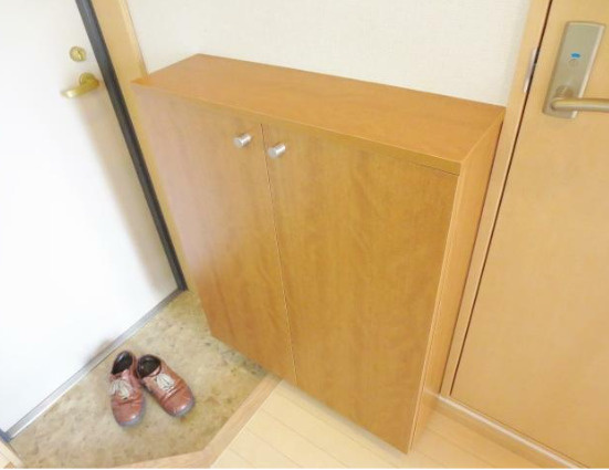 中野区中野３丁目の賃貸マンションの玄関