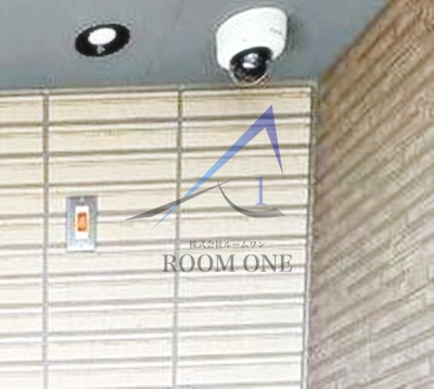 D porta viola