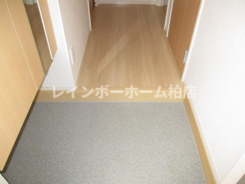 仲介手数料（賃料の1.10ヵ月）の50％OFF対象物件！の玄関|毎日通る玄関はこちらです