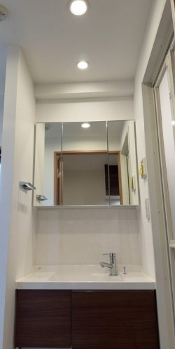 RELUXIA門前仲町の洗面所