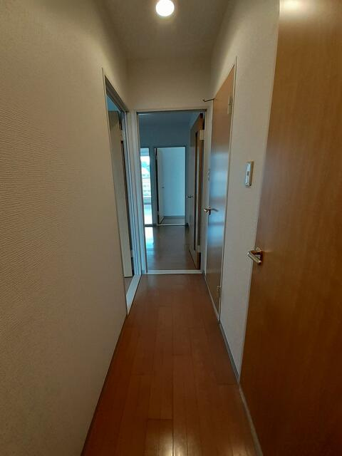 川崎市多摩区三田１丁目の賃貸マンションの内装