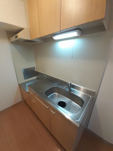 川崎市多摩区三田１丁目の賃貸マンションのキッチン