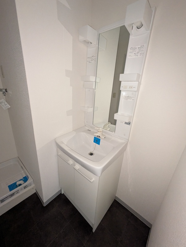 川崎市多摩区三田１丁目の賃貸マンションの洗面所