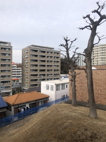 川崎市麻生区万福寺１丁目のアパートの展望