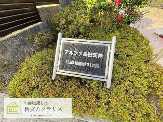 アルファ長岡天神