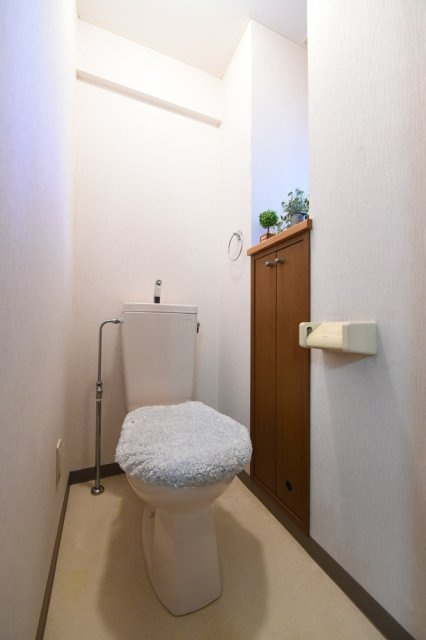大木ロイヤルマンションのトイレ|※家具・小物はイメージです