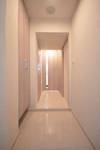 大阪市西区西本町１丁目の賃貸マンションの玄関