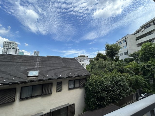 ニュー白金マンションの展望