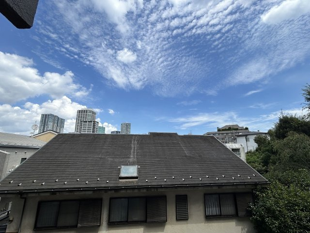 ニュー白金マンションのその他