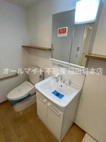 川崎市多摩区布田の賃貸マンションの洗面所
