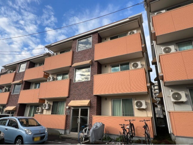 ミモザ