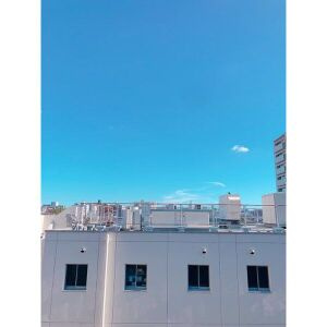 モネ水草の展望