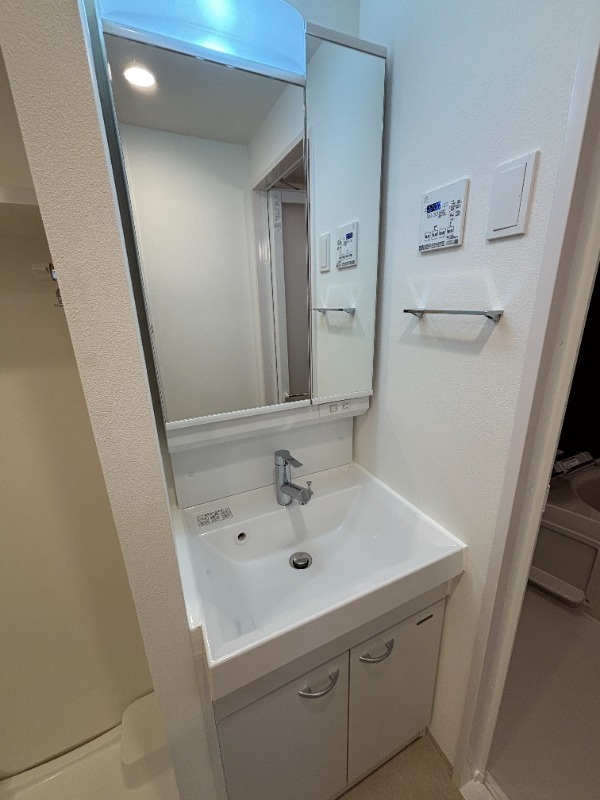 ステージファースト府中の洗面所|※カラータイプ異なります