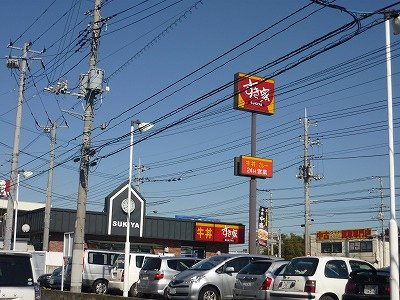 仮）守谷市松ヶ丘５丁目アパート新築工事の周辺|すき家守谷店まで1,060ｍ