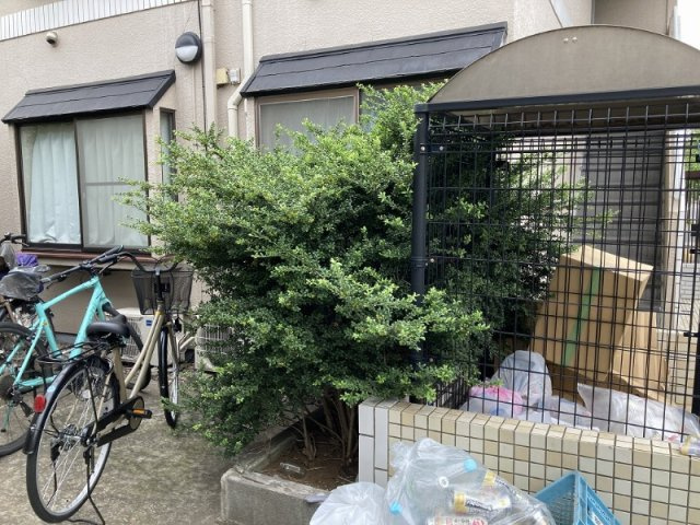キャピタル北綾瀬Ａのその他
