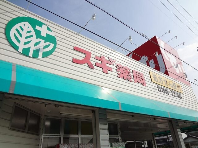 ドミール南嶋の周辺|スギ薬局まで250m