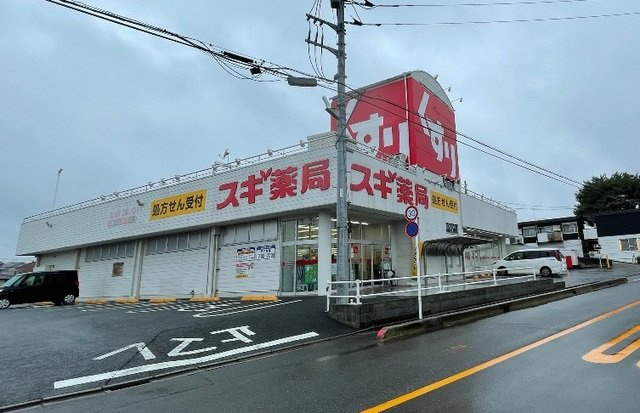 ハイツスリーゼの周辺|スギ薬局　大宮堀崎店まで500m