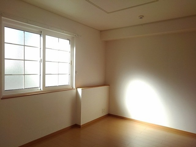 カーラのその他