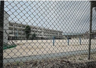 ラフィーネ東野の周辺|中筋小学校まで550m